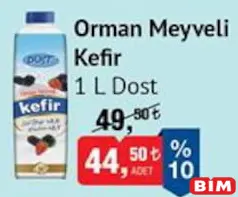 DOST ORMAN MEYVELİ KEFİR 1 L